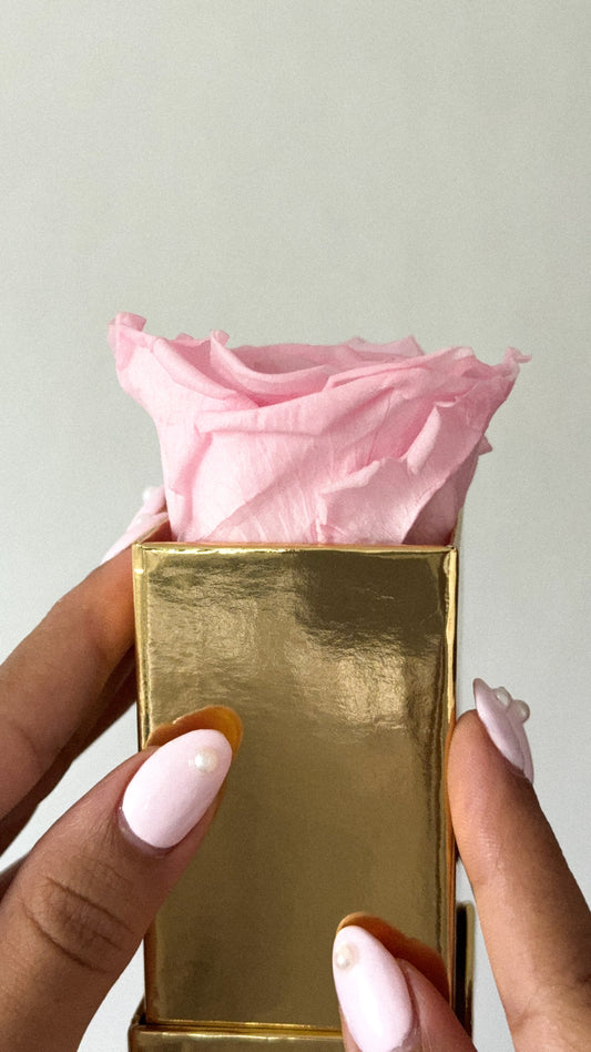 Square Luxury 1 Rose