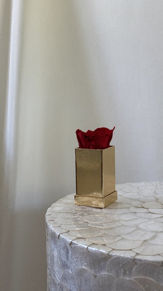 Square Luxury 1 Rose