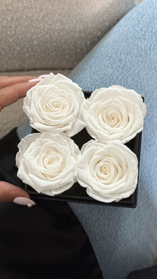 Classic 4 Roses