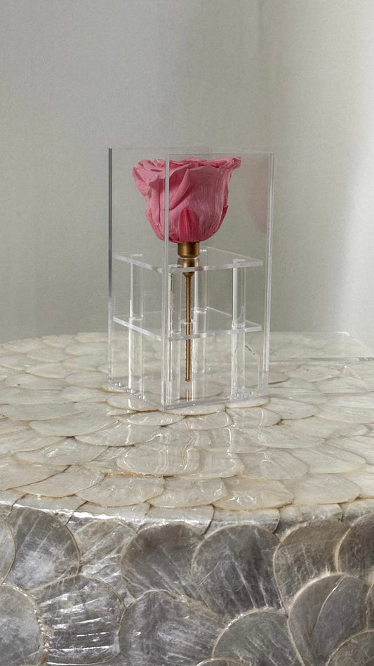 Elegant 1 Rose