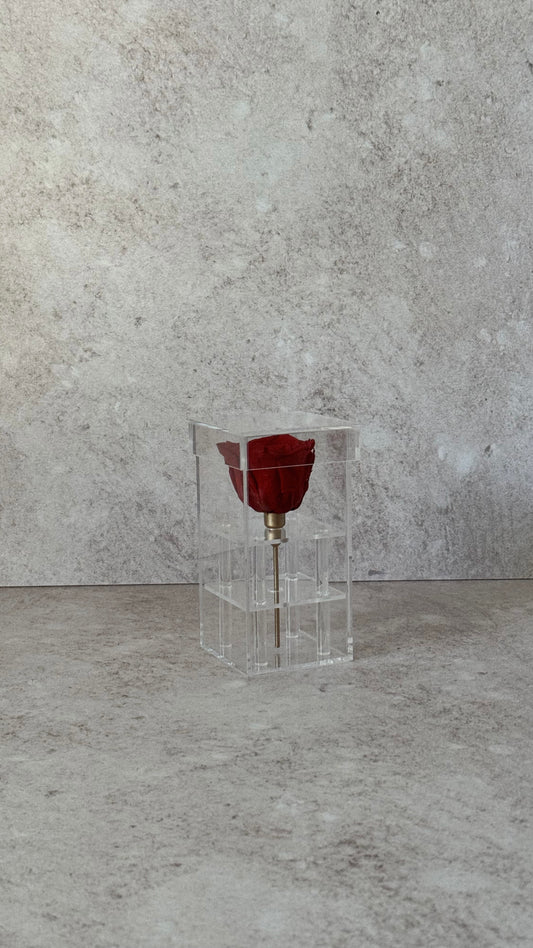 Elegant 1 Rose