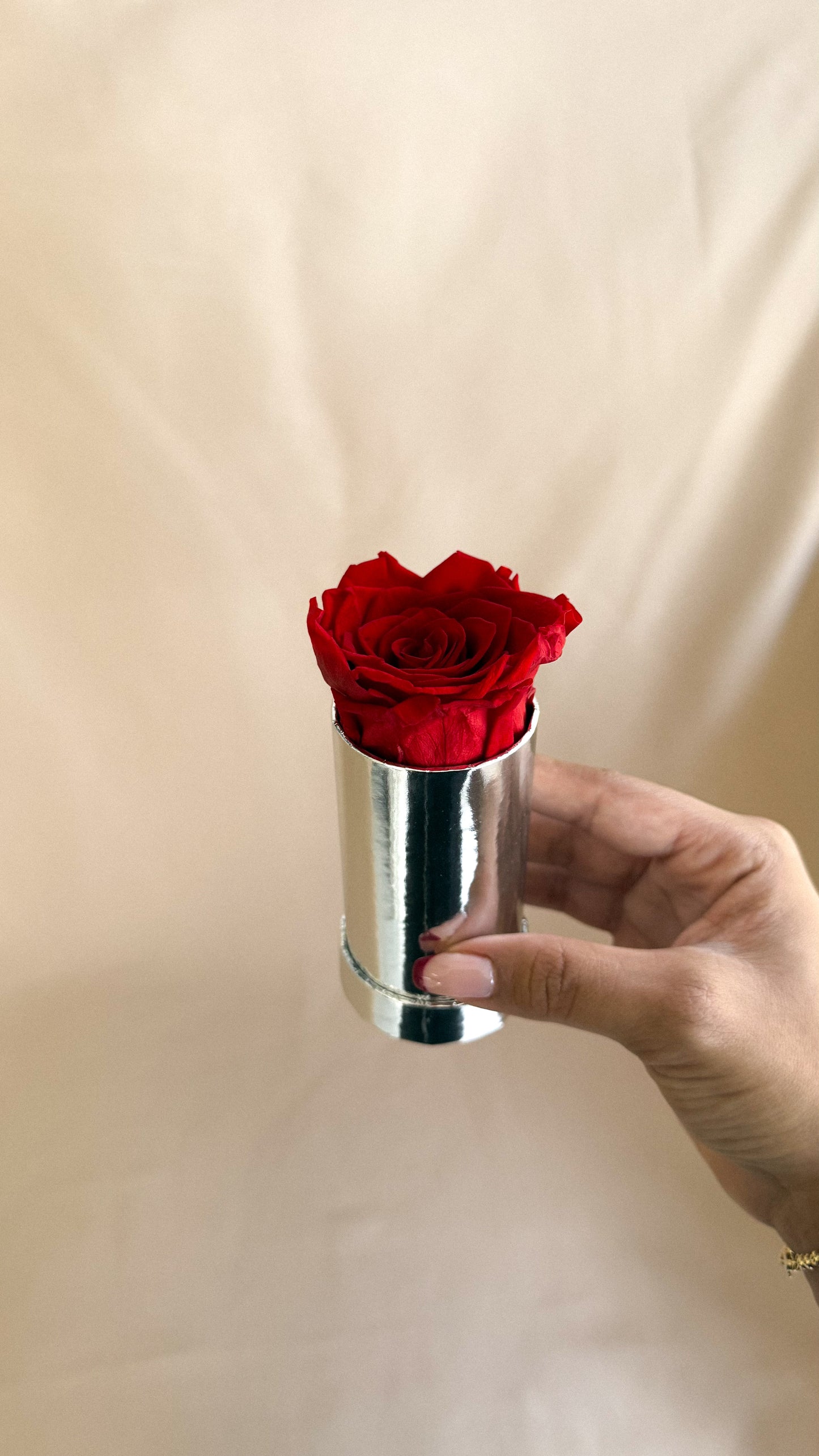 Round Luxury 1 Rose