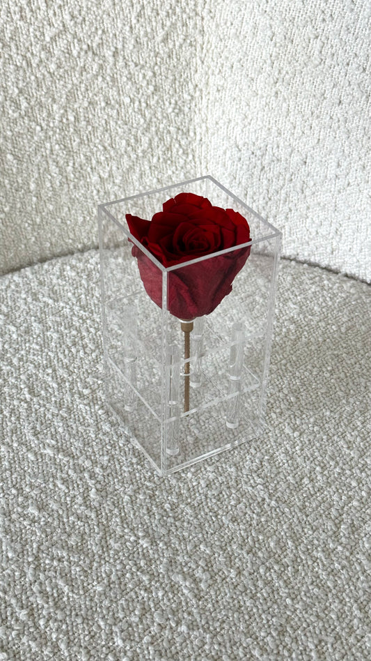 Elegant 1 Rose