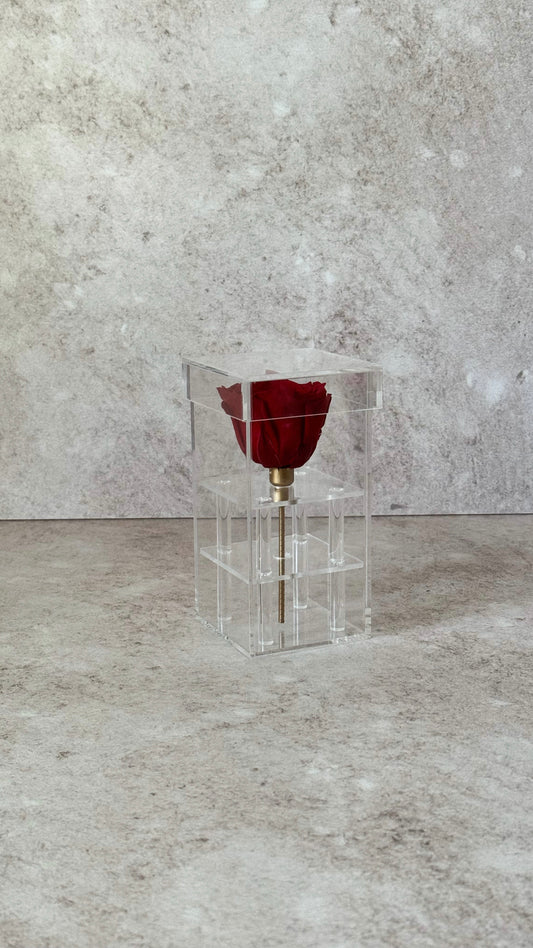 Elegant 1 Rose