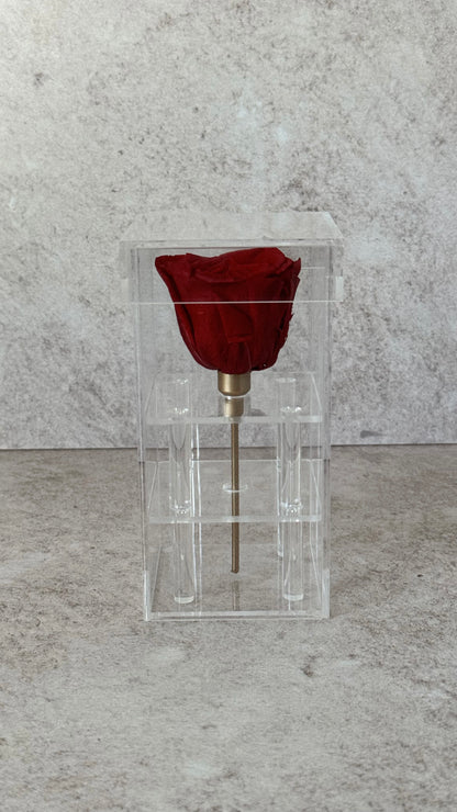 Elegant 1 Rose