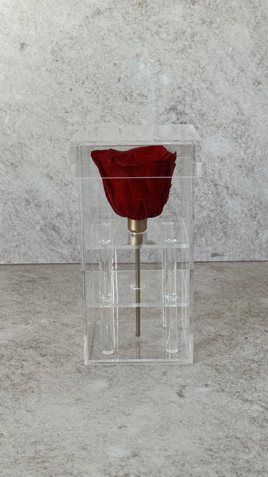 Elegant 1 Rose