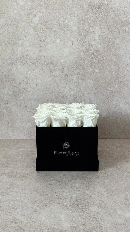 Velvet 16 Roses