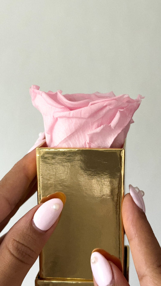 Square Luxury 1 Rose