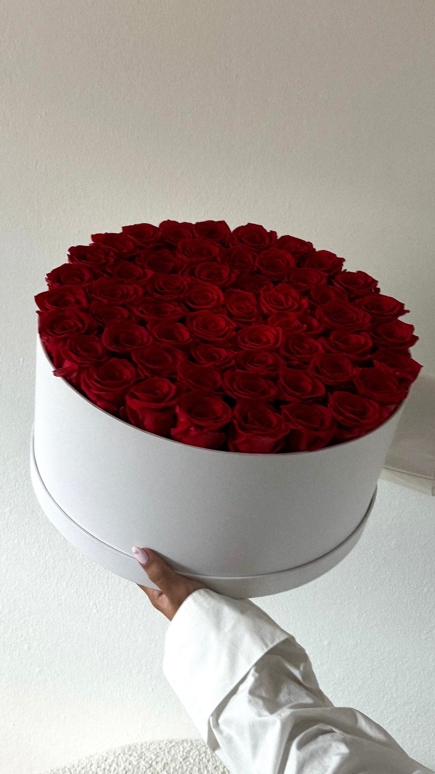 Classic 49+ Roses