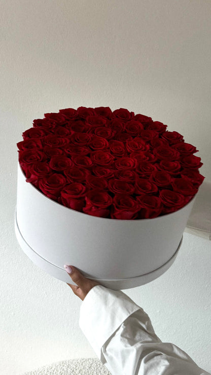 Classic 49+ Roses