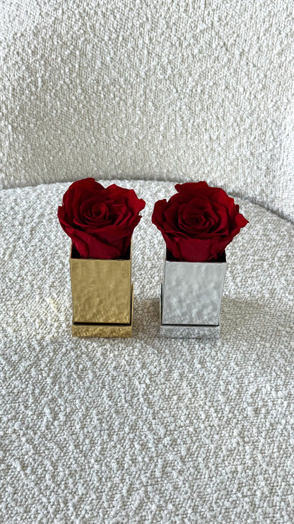 Square Luxury 1 Rose