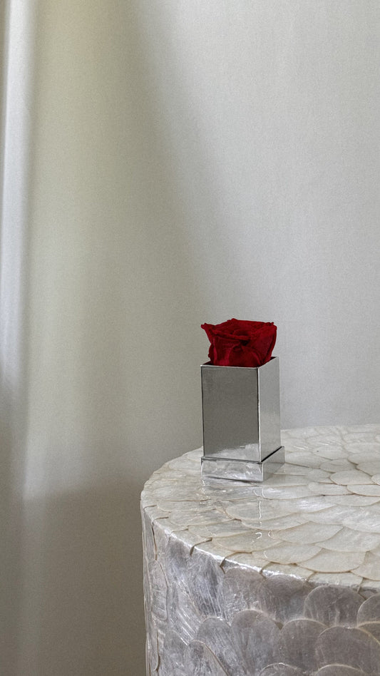 Square Luxury 1 Rose