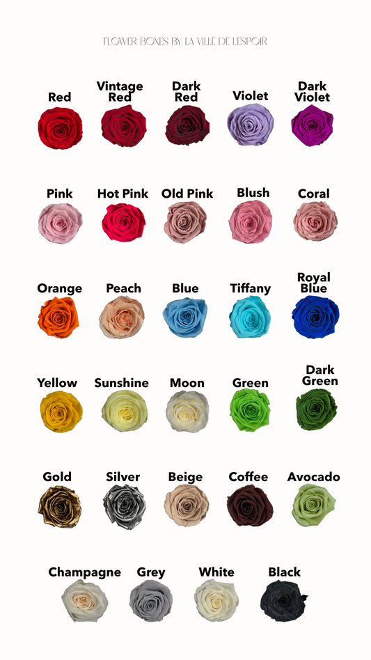Velvet 16 Roses