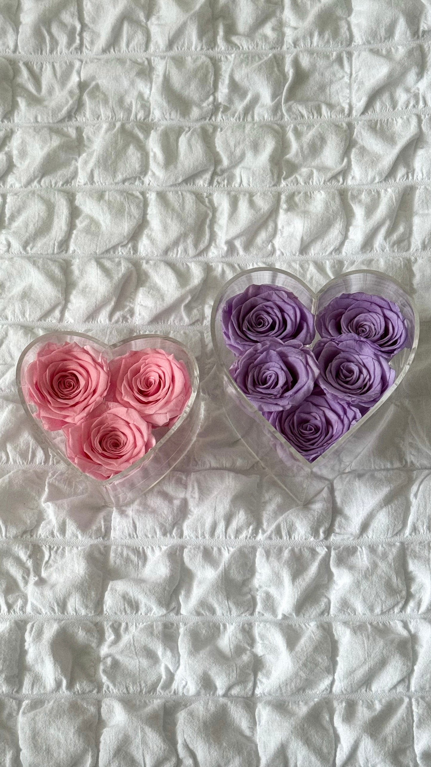 Heart 5 Roses