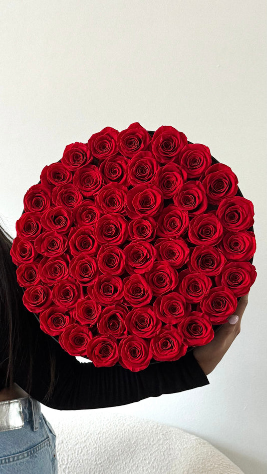 Classic 49+ Roses